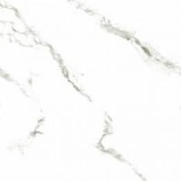 Gạch Trường Thịnh CALACATTA TT88401